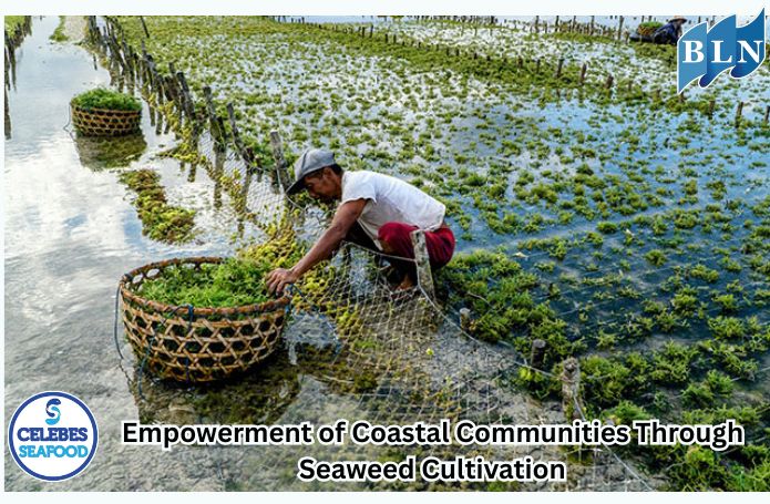 Empowerment of Coastal Communities Through Seaweed Cultivation